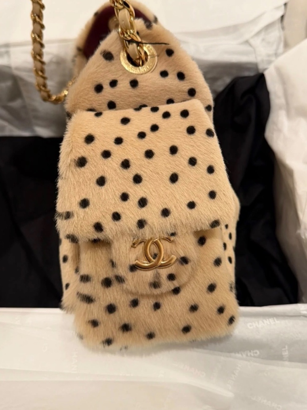 CHANEL 26A Metiers D’art Beige Pony Hair Beige Mini 25 Bag Matthieu Blazy - Picture 2 of 5